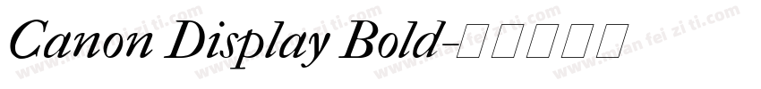 Canon Display Bold字体转换